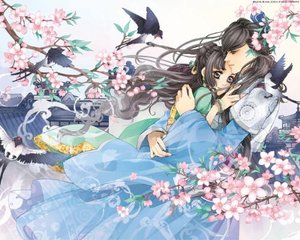 老中医spa系列
